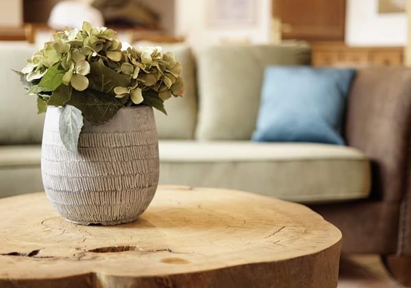 PHOTO 2022 12 15 15 36 45